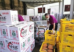 集貨包裝場